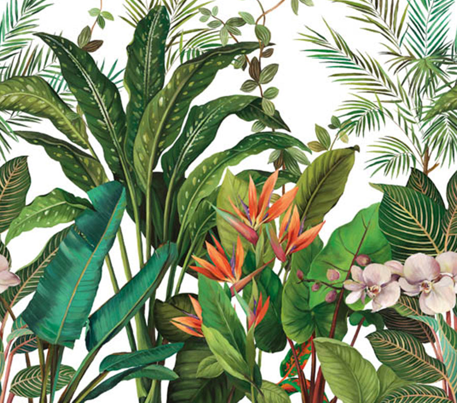 Bird of Paradise Mural White