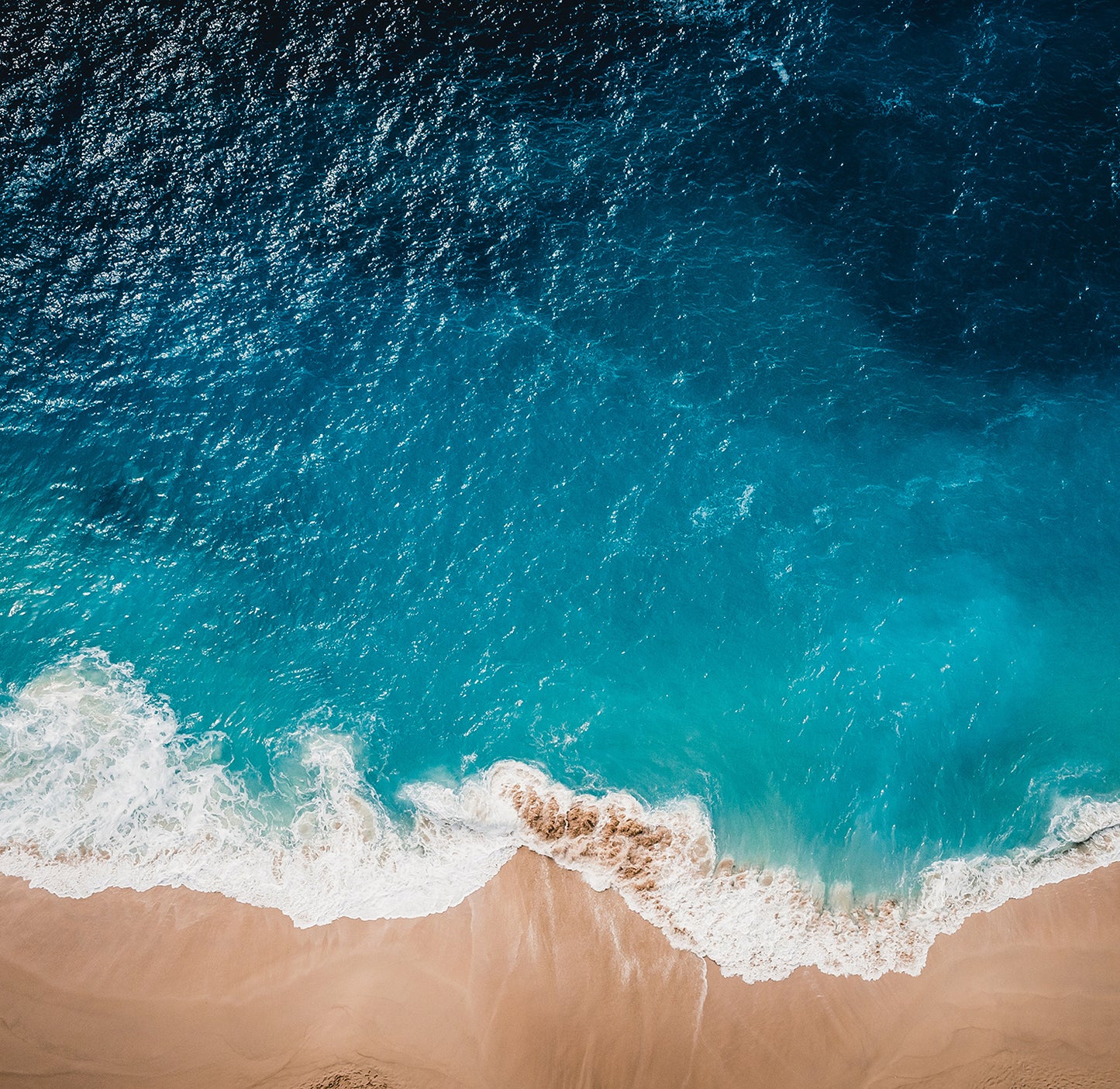 Ocean View - Full Wall Mural