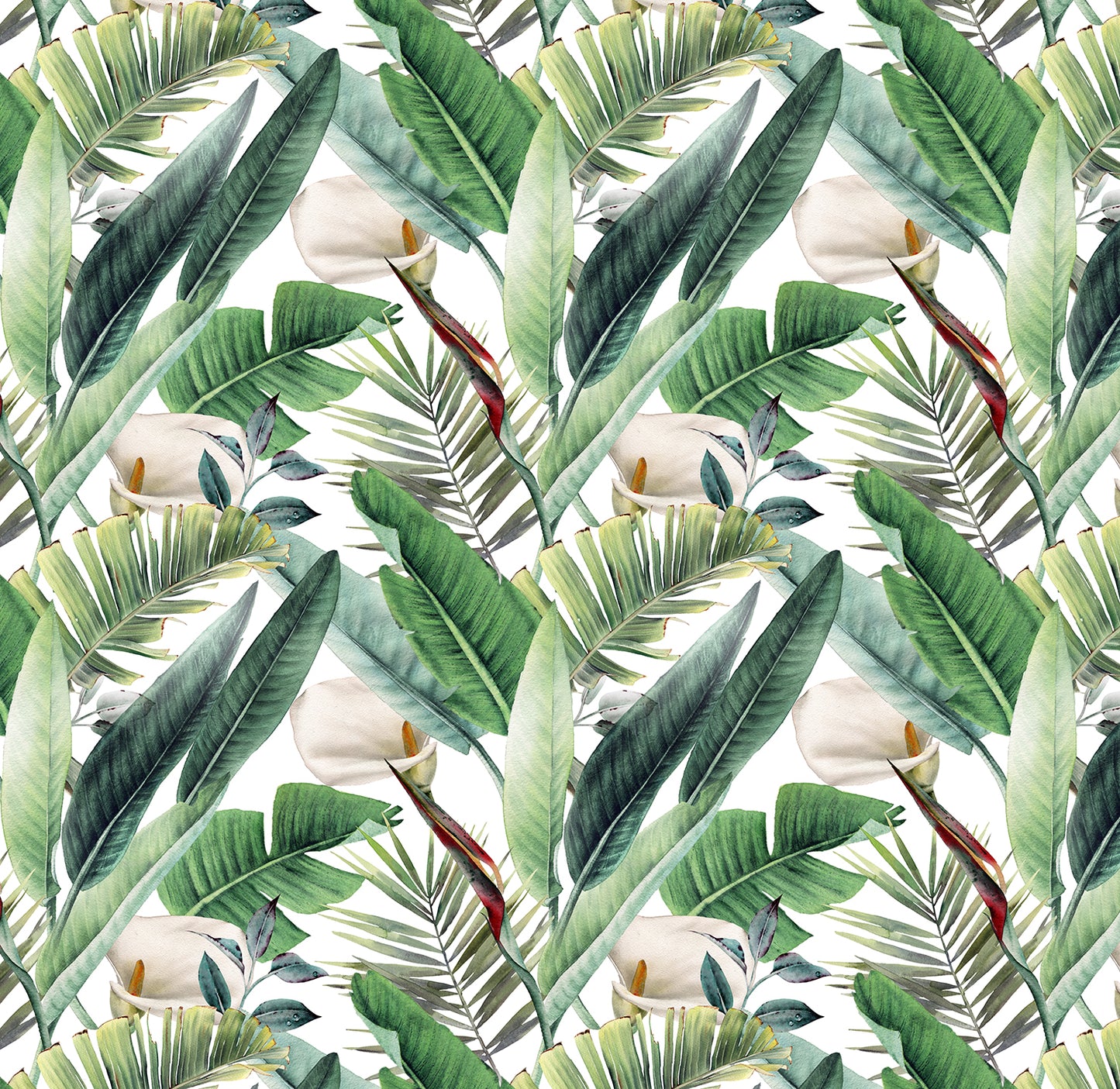 Arum-lily - Full Wall Mural