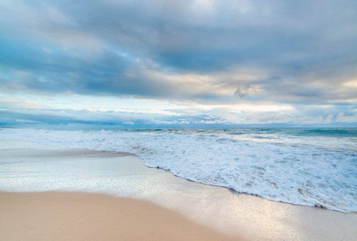 Delicate Coast - Full Wall Mural