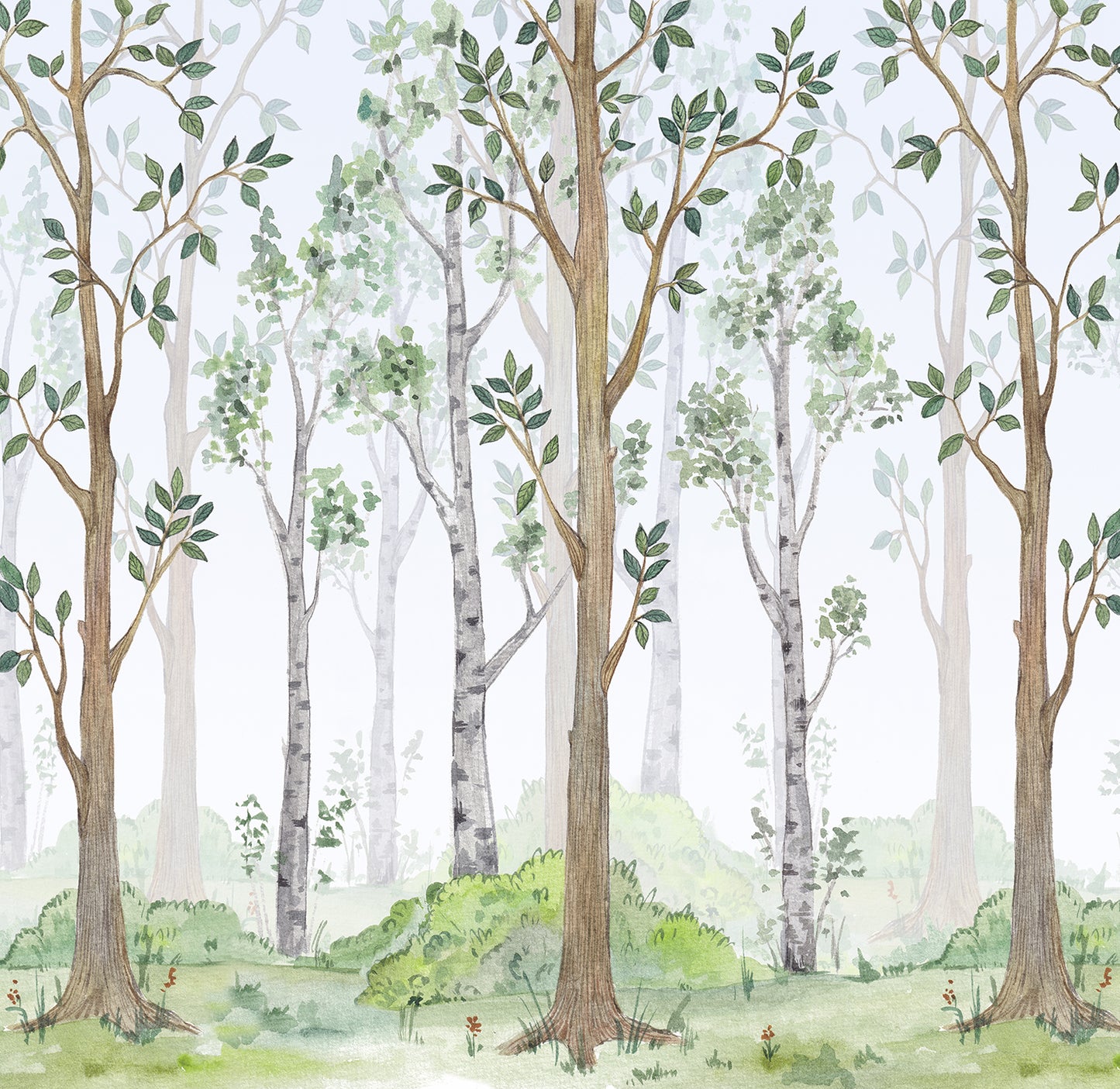 Friendly Forest - Full Wall Mural