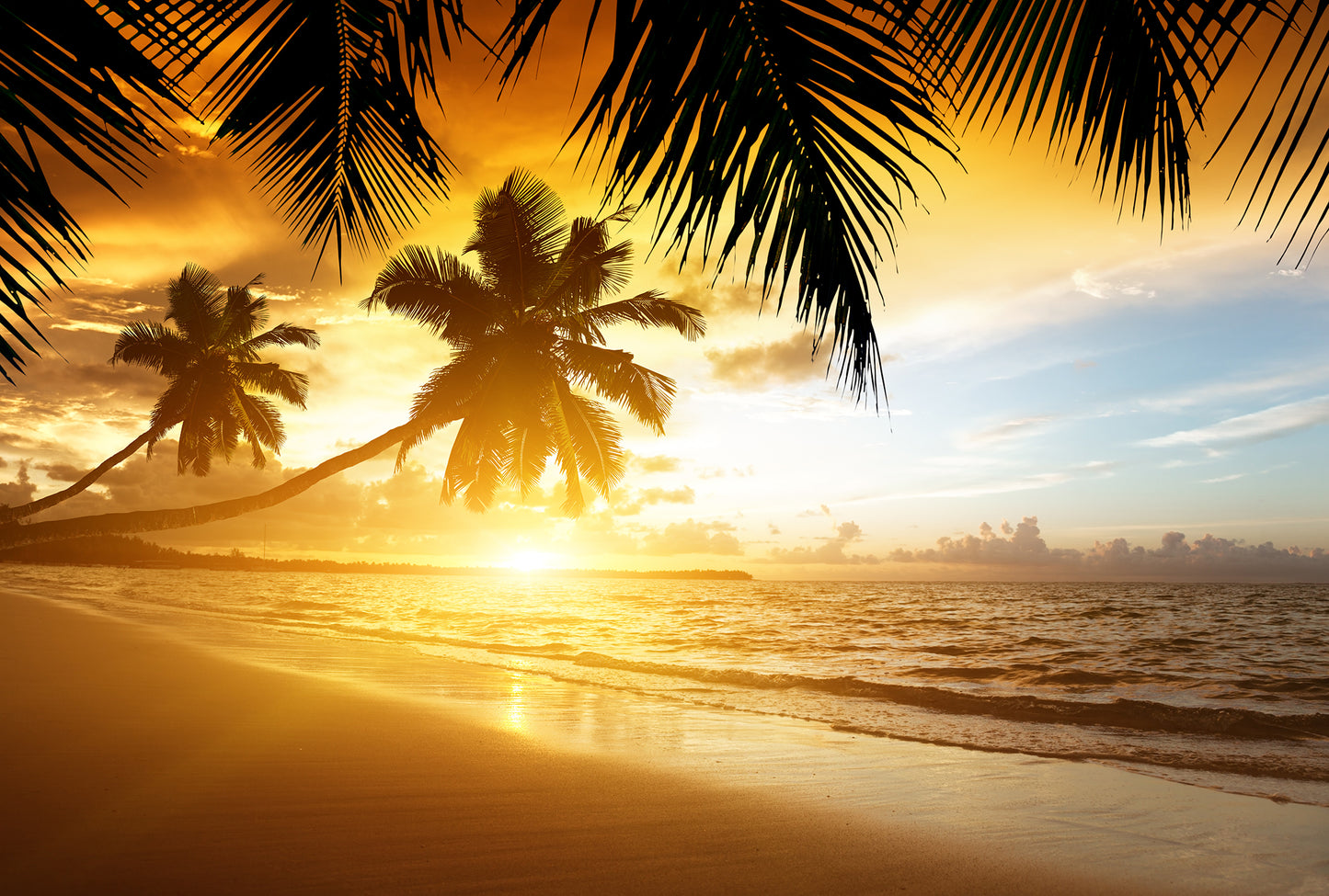 Golden Sunrise - Full Wall Mural