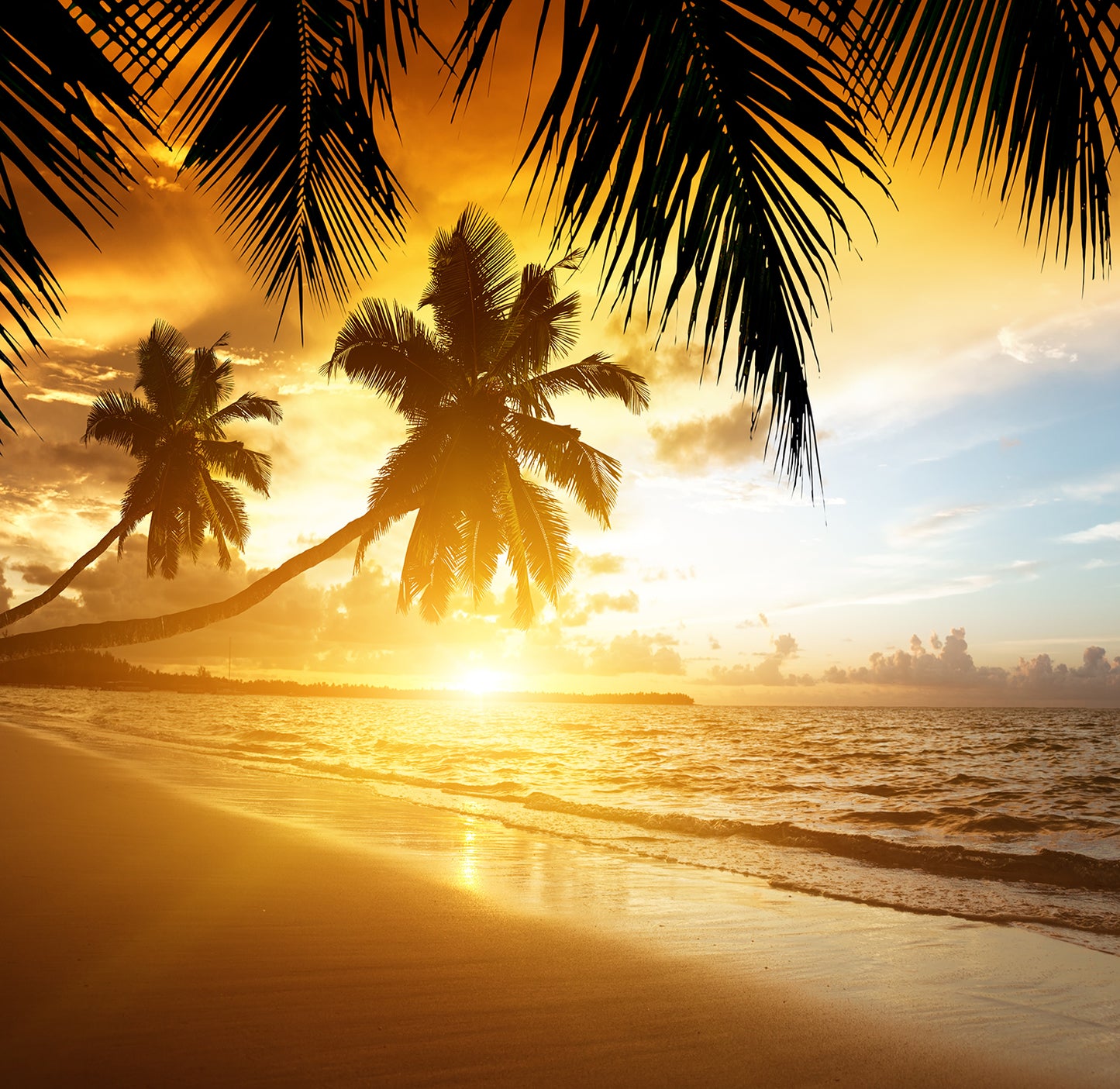 Golden Sunrise - Full Wall Mural