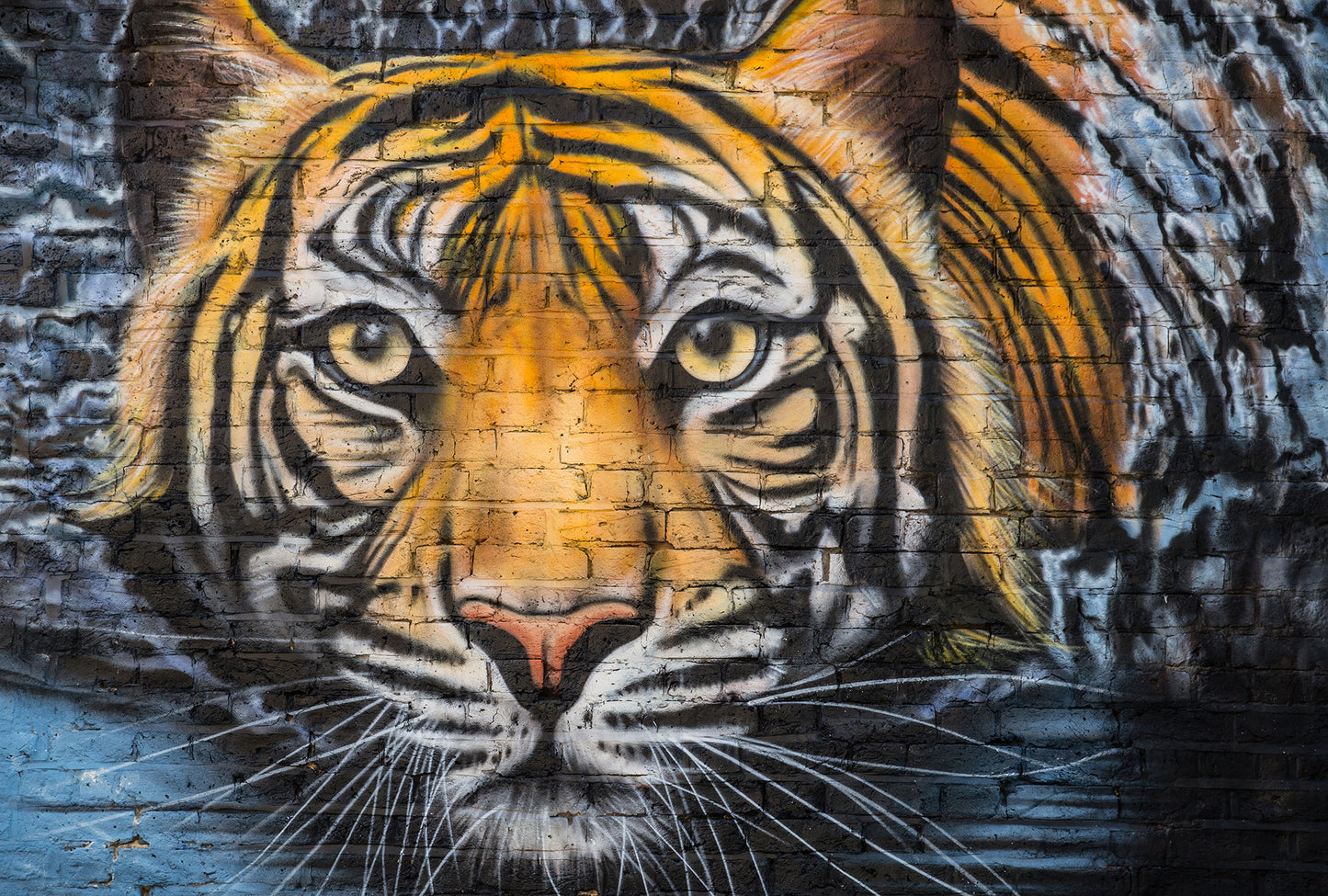 Into the Wild - Full Wall Mural