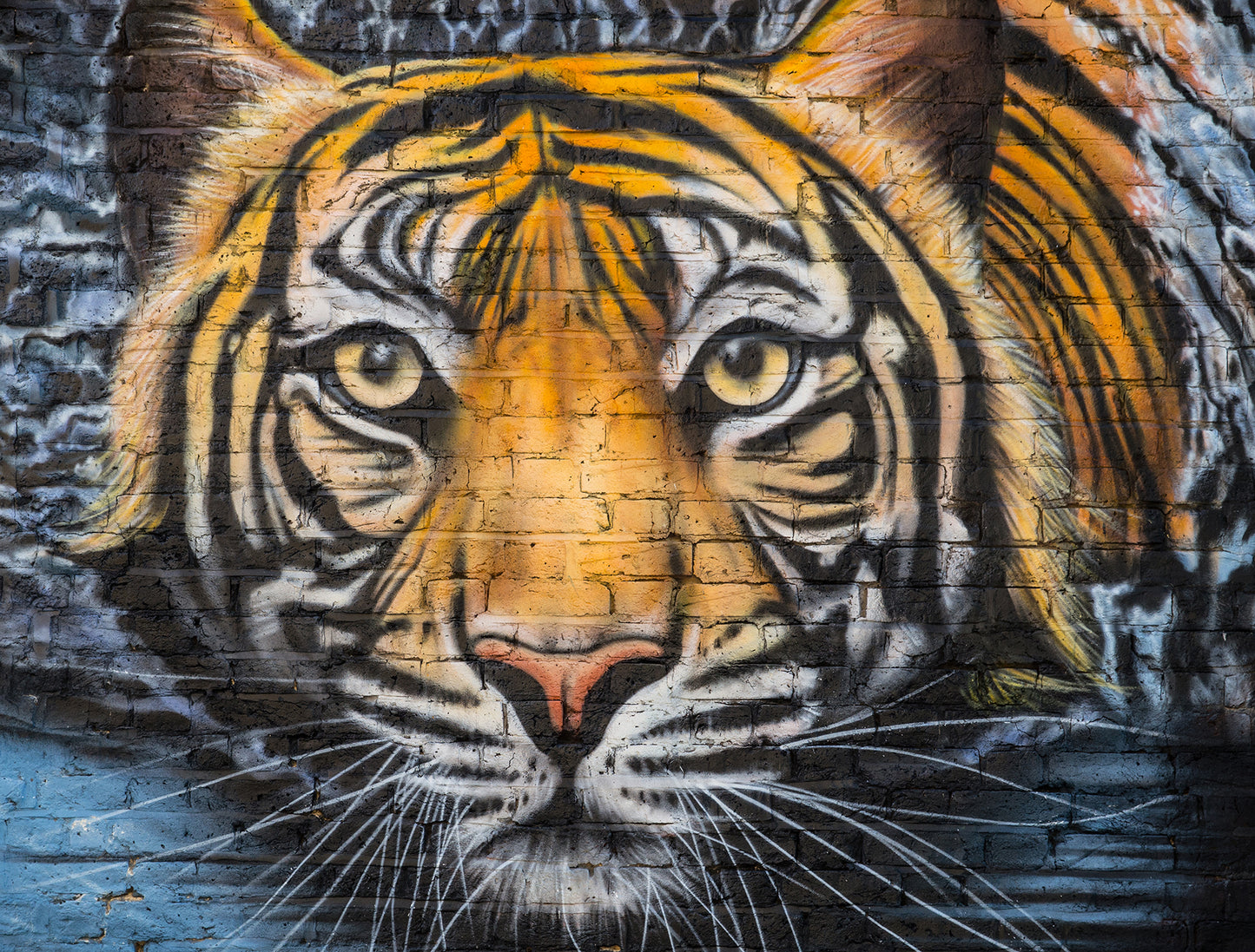 Into the Wild - Full Wall Mural