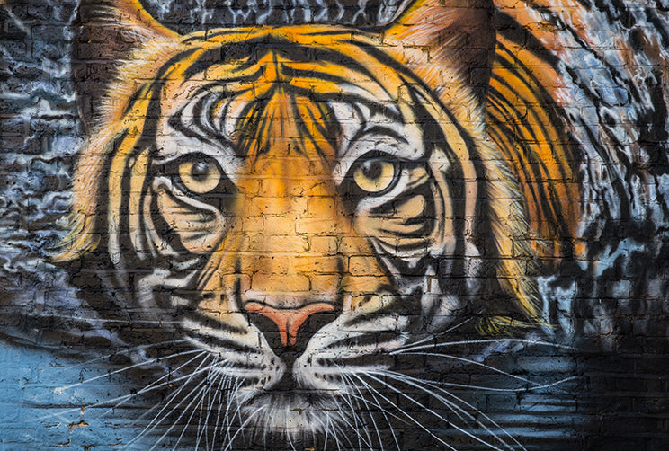 Into the Wild - Full Wall Mural
