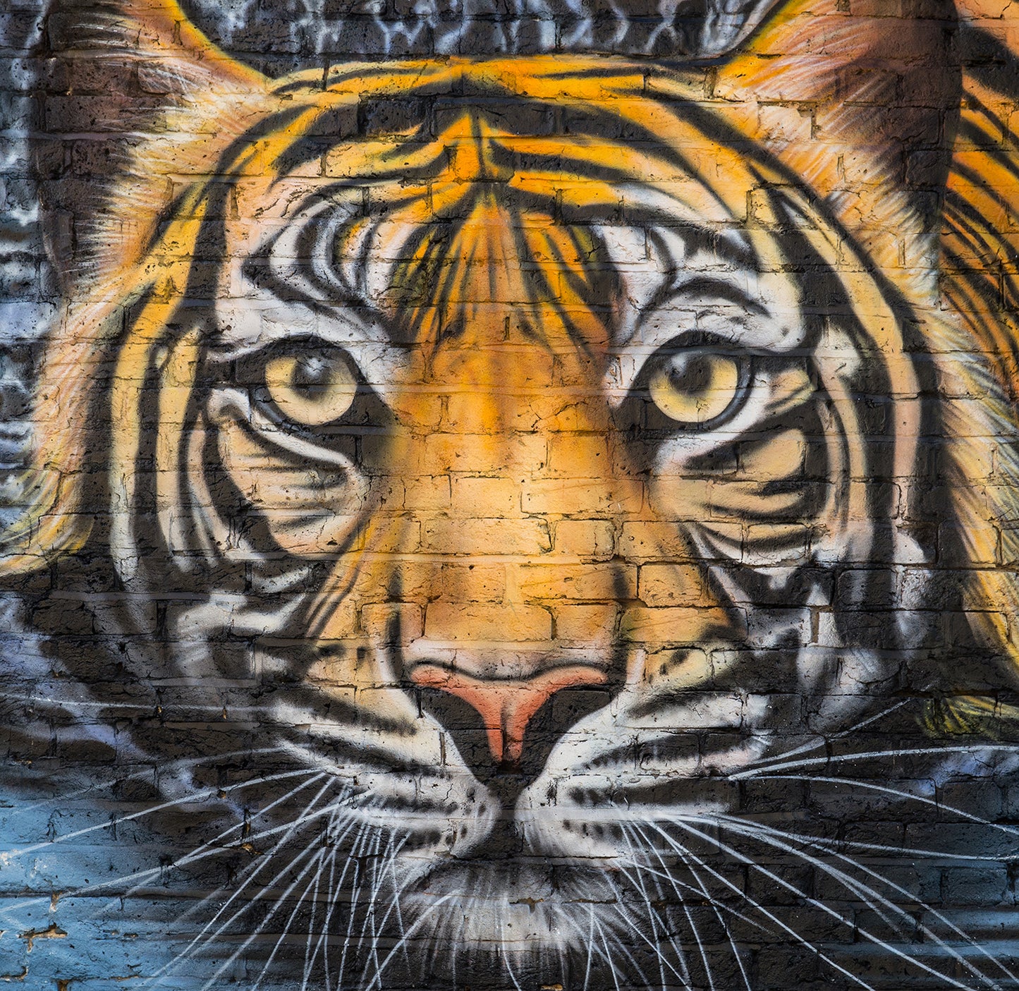 Into the Wild - Full Wall Mural