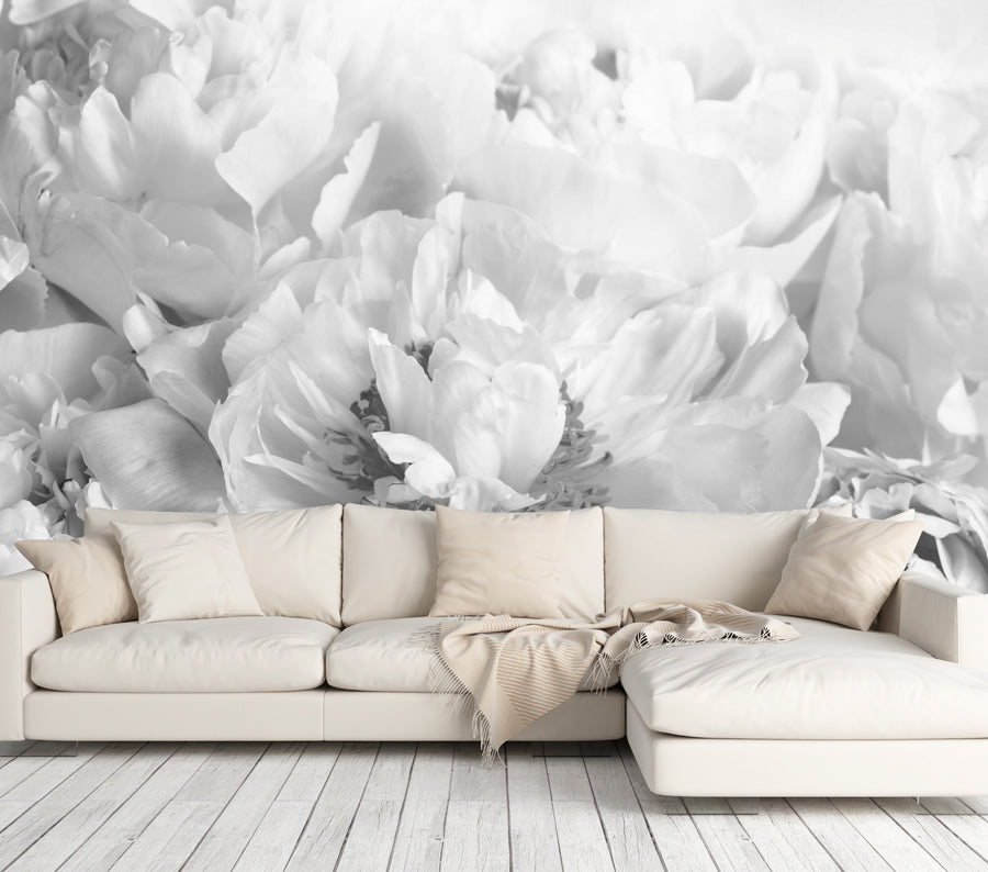 Peony Black and White
