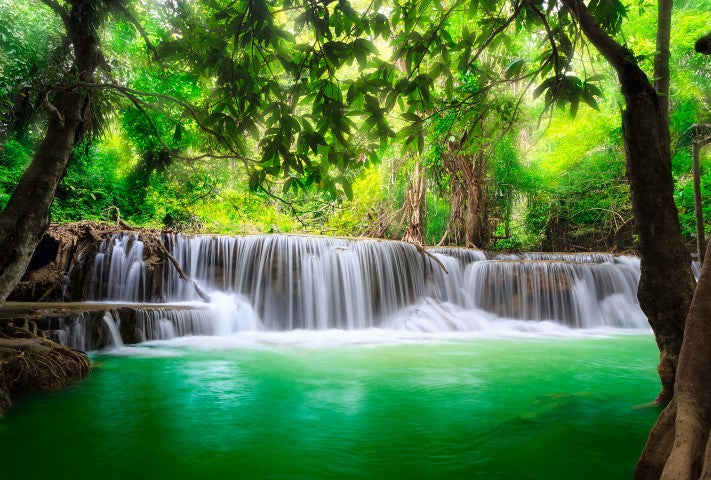 Peaceful Falls - Full Wall Mural