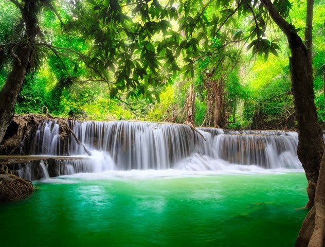 Peaceful Falls - Full Wall Mural