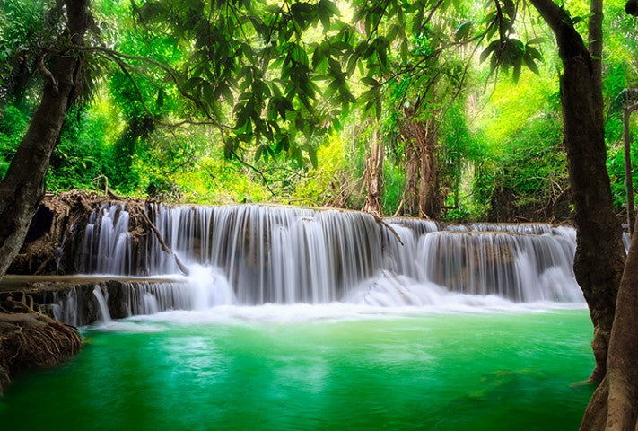 Peaceful Falls - Full Wall Mural