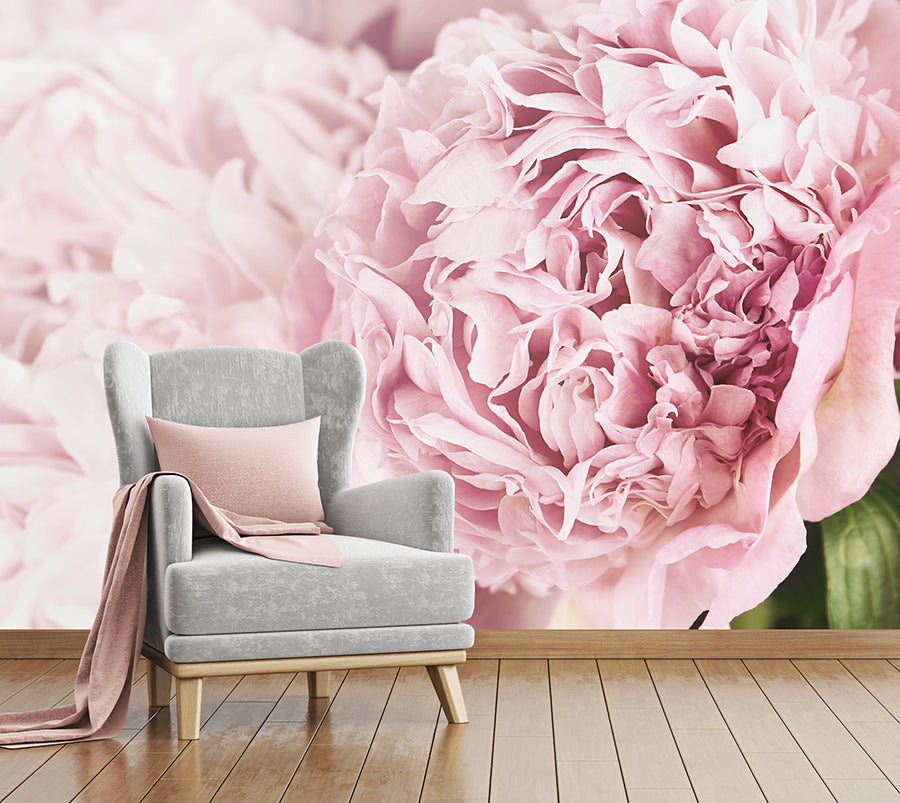 Pink Posy - Full Wall Mural