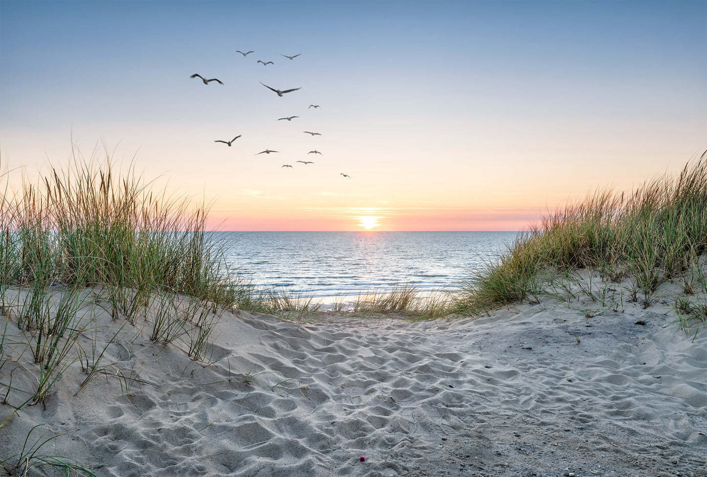 Sand Dunes - Full Wall Mural