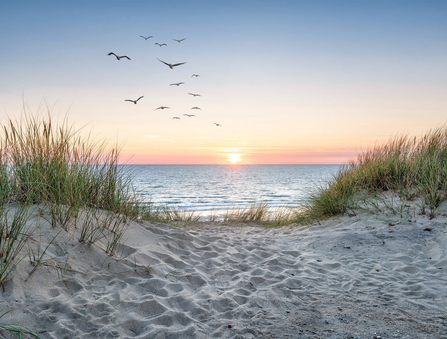 Sand Dunes - Full Wall Mural