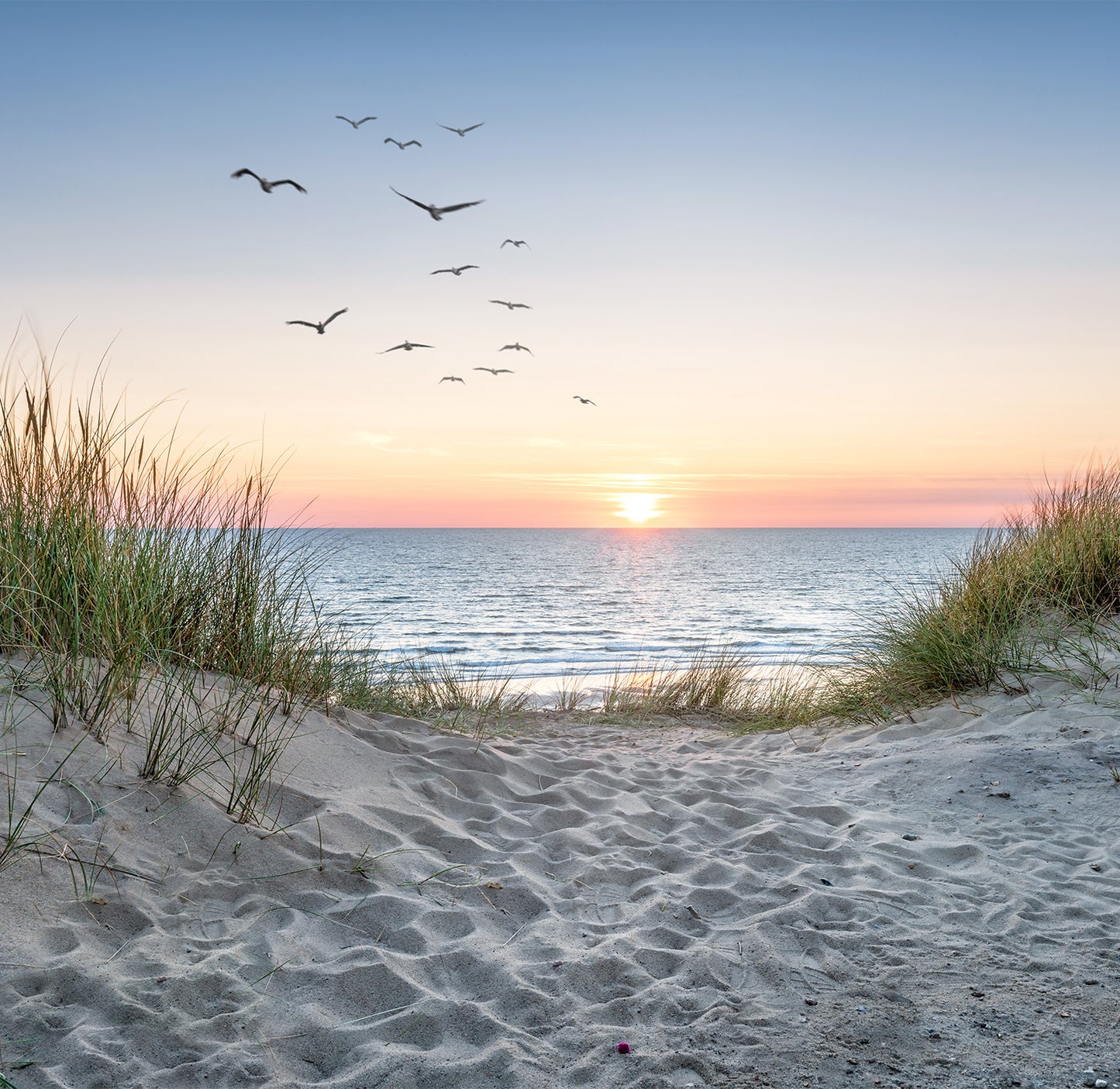 Sand Dunes - Full Wall Mural