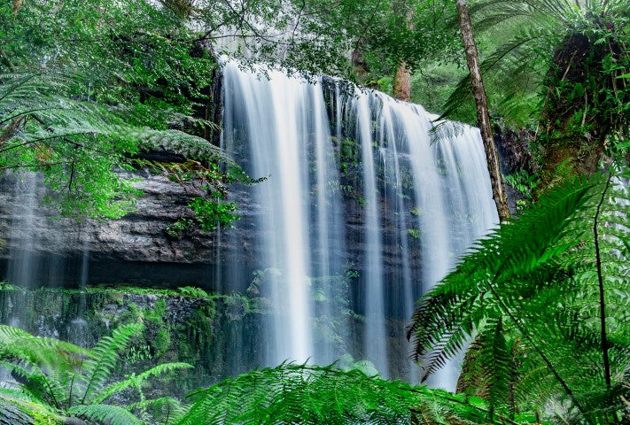 Serenity - Full Wall Mural