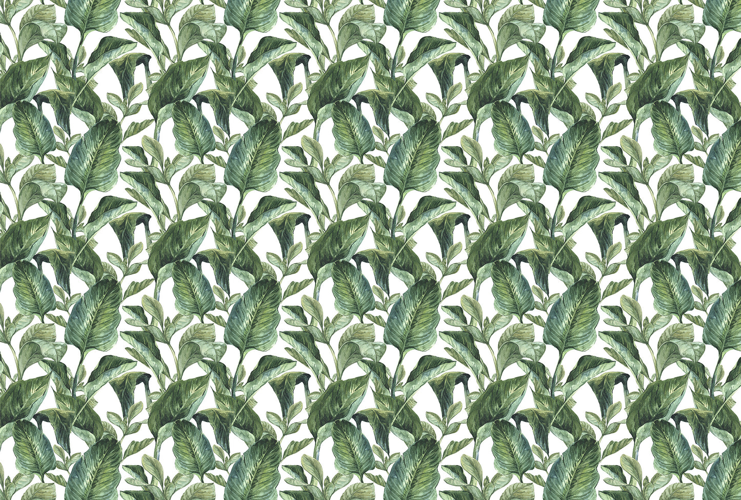Tropical Green - Old Style - Full Wall Mural