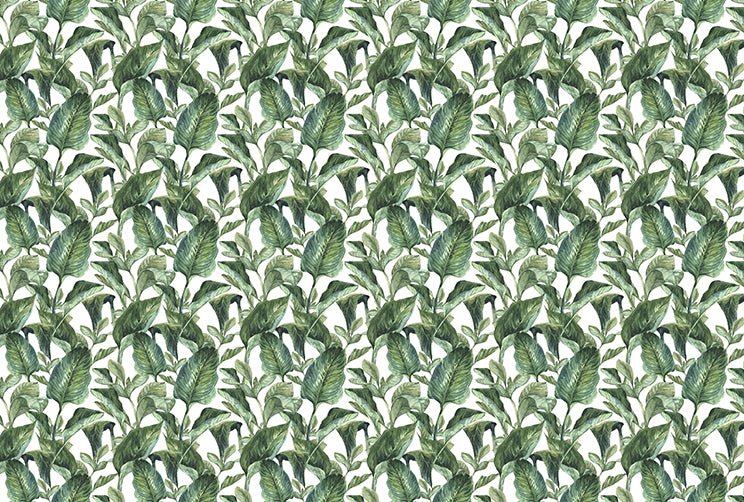 Tropical Green - Old Style - Full Wall Mural