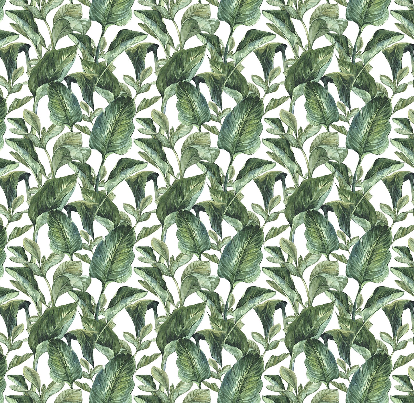 Tropical Green - Old Style - Full Wall Mural
