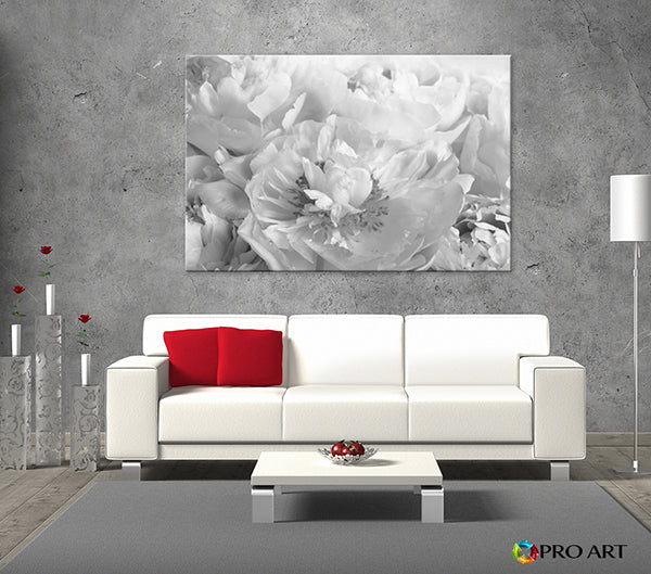 Peony Black and White - Canvas