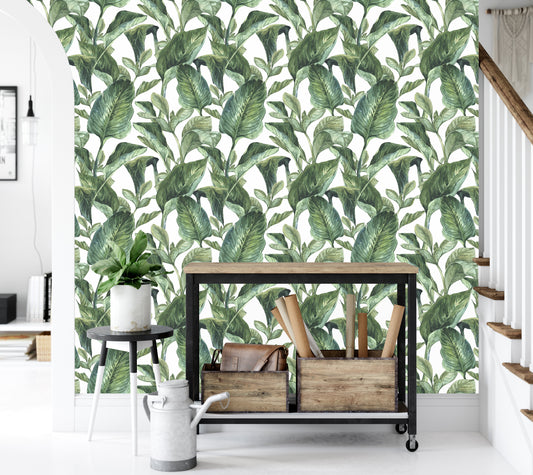 Tropical Green - Old Style - Full Wall Mural