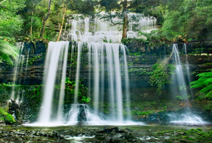 Tranquility - Full Wall Mural